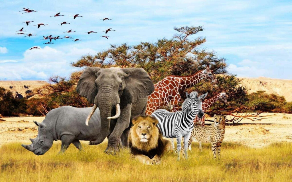 Roaming Royalty: Wild Animals Reign Supreme on Safari Backdrop Wallpaper