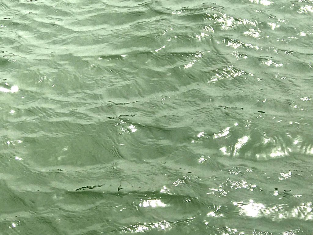 Sage green water wallpaper with gentle waves and sunlight reflections for calming background