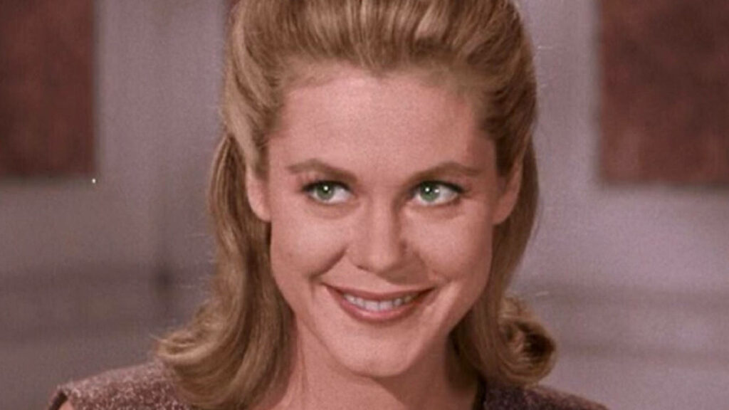 Close-up portrait of Samantha from Bewitched showcasing her classic beauty and iconic smile wallpaper