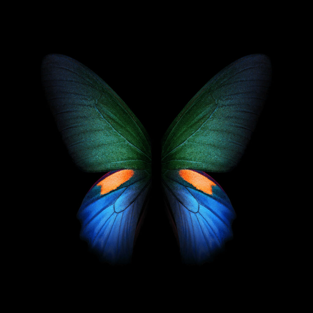 Vibrant Butterfly Samsung Galaxy A20 Wallpaper Background Design
