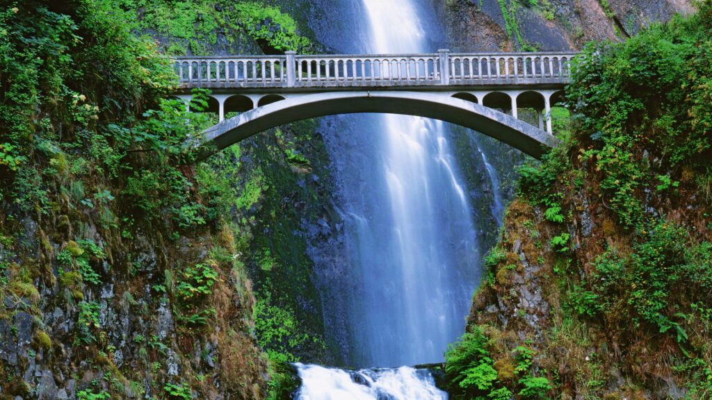 Arched stone bridge over cascading waterfalls surrounded by lush green vegetation and mossy rocks Wallpaper
