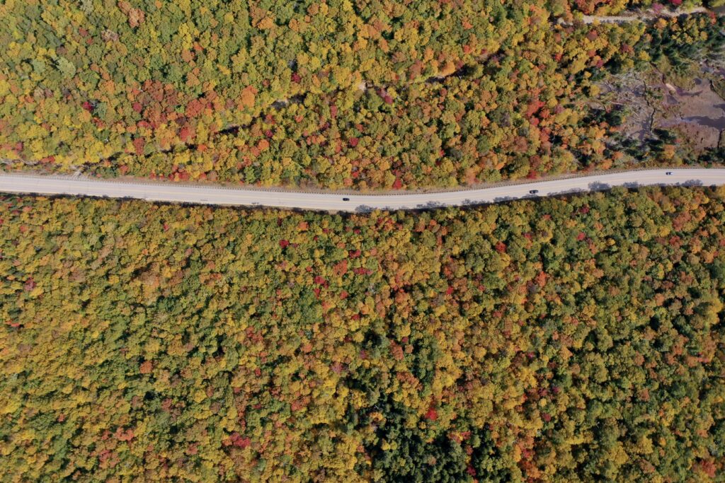 Aerial view of winding road through dense autumn forest with colorful fall foliage and cars Wallpaper