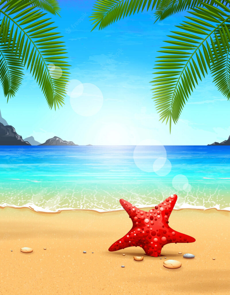 Scenic Beach Sunset Wallpaper with Starfish and Turquoise Waters