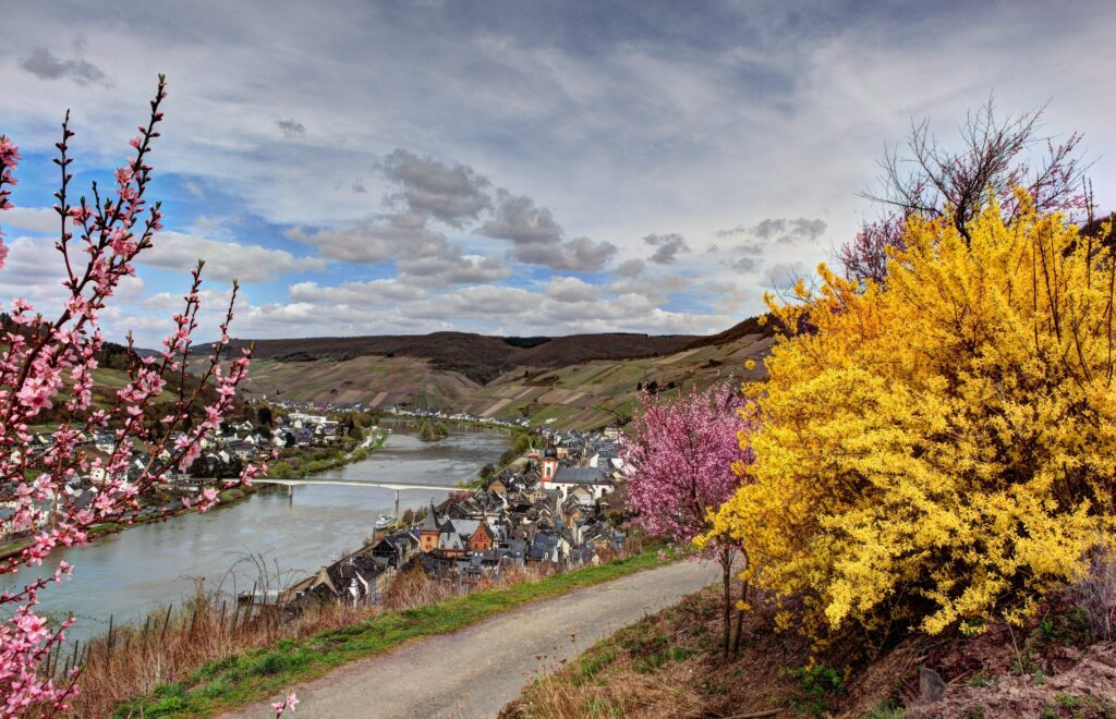 Scenic Germany wallpaper with winding river quaint village lush hills and vibrant yellow pink bushes