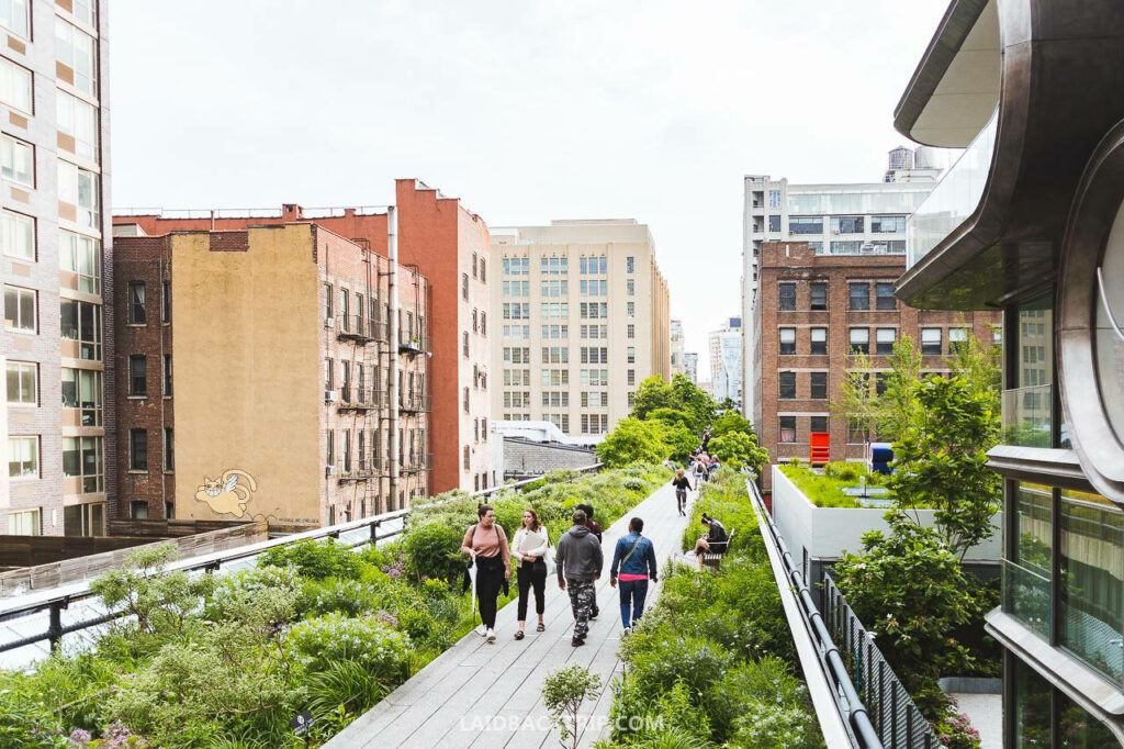 Vibrant High Line Park Wallpaper: Scenic Urban Greenery Background