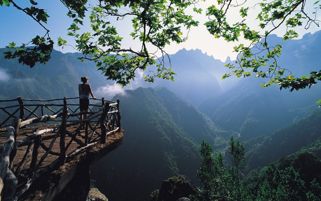 Person on wooden lookout admiring lush mountain forest valley in soft natural daylight wallpaper