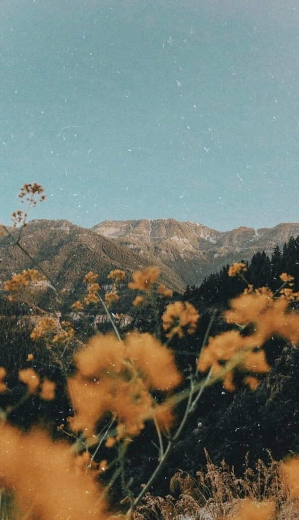 Vintage Mountain Landscape Wallpaper with Yellow Flowers