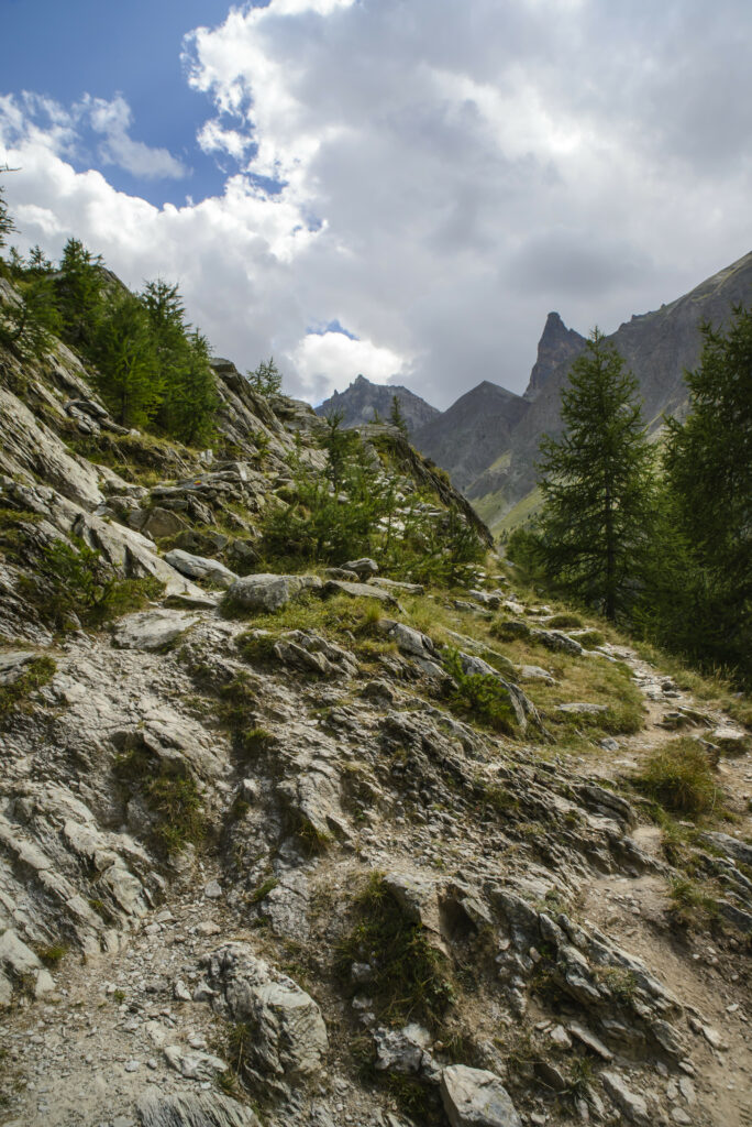Scenic mountain wallpaper with rugged rocks lush green trees winding path under cloudy sky