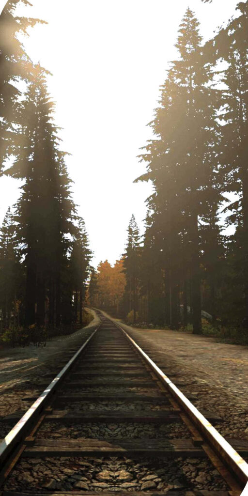 Scenic Splendor: A Majestic Railway amidst Towering Pines and Radiant Skies Wallpaper