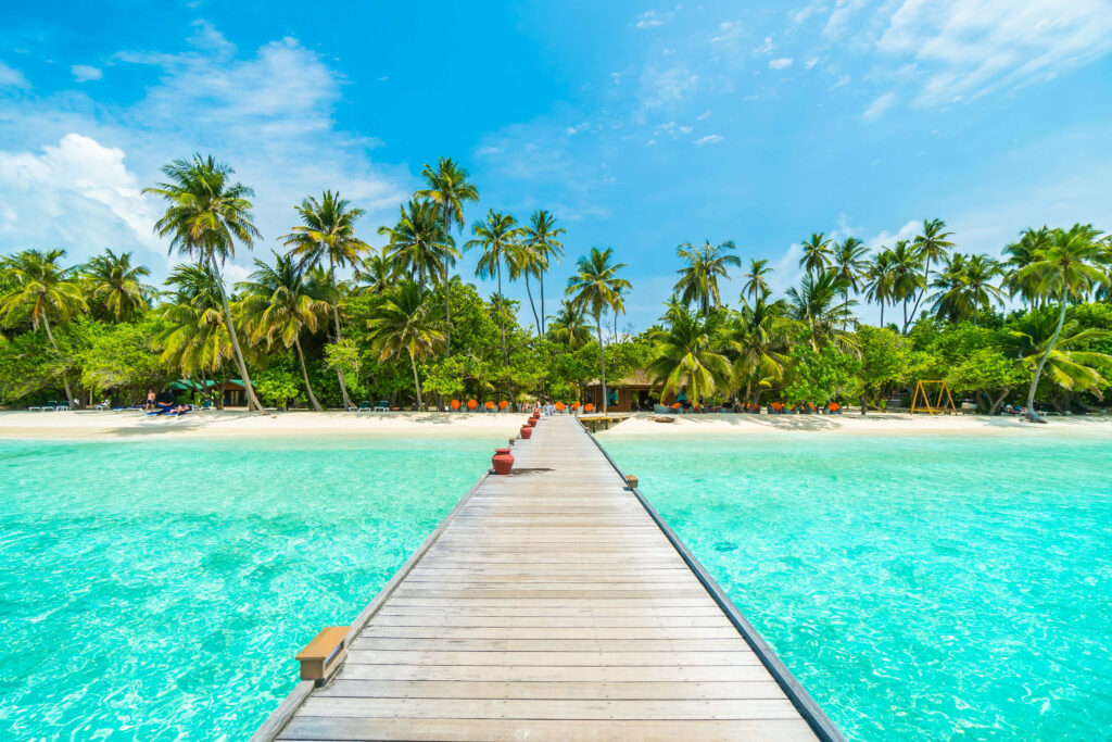 Tropical Island Walkway: Lush Palms & Turquoise Waters Wallpaper