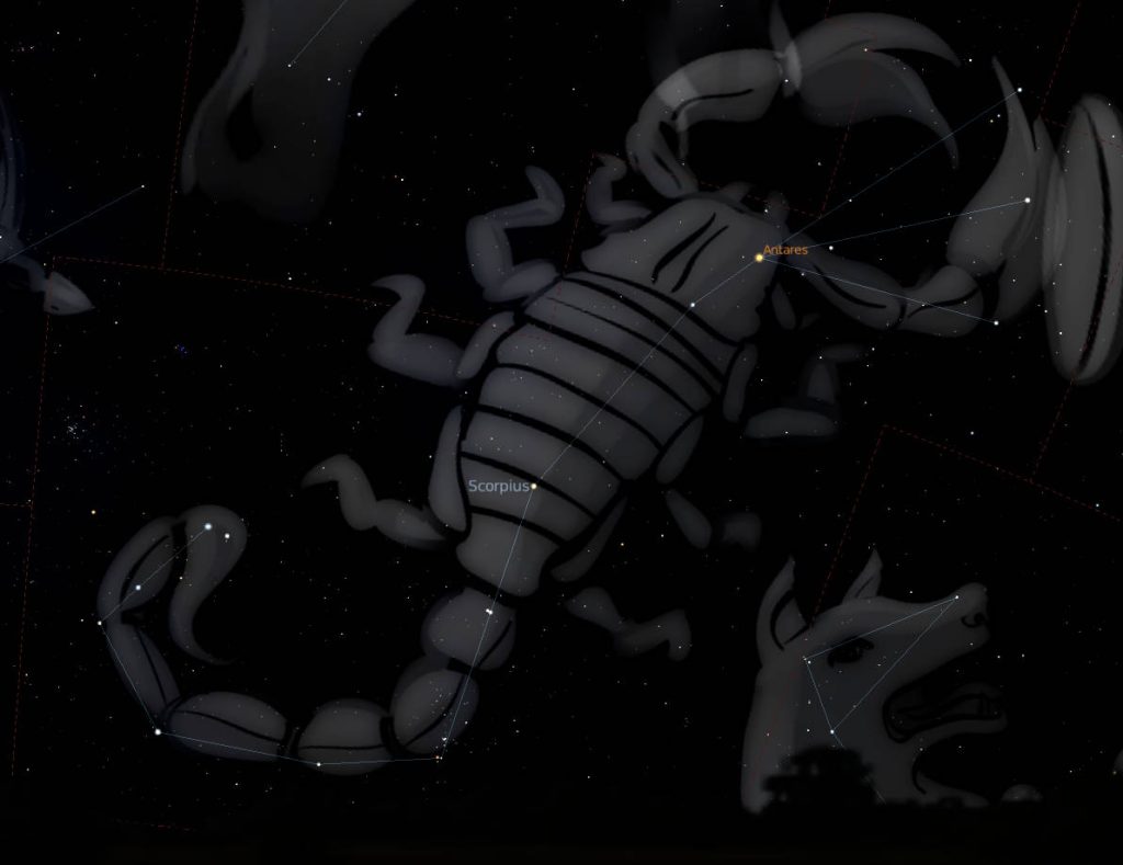 Scorpius constellation wallpaper with scorpion overlay and bright red star Antares on dark sky