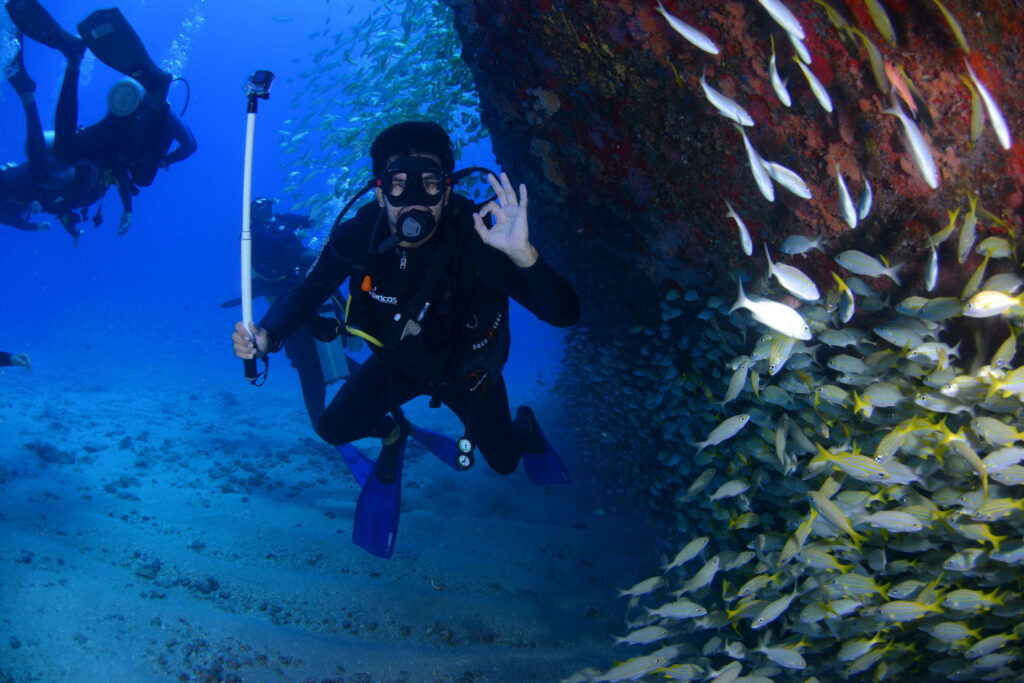 Scuba diver signaling okay exploring vibrant coral reef with colorful fish in clear blue water Wallpaper