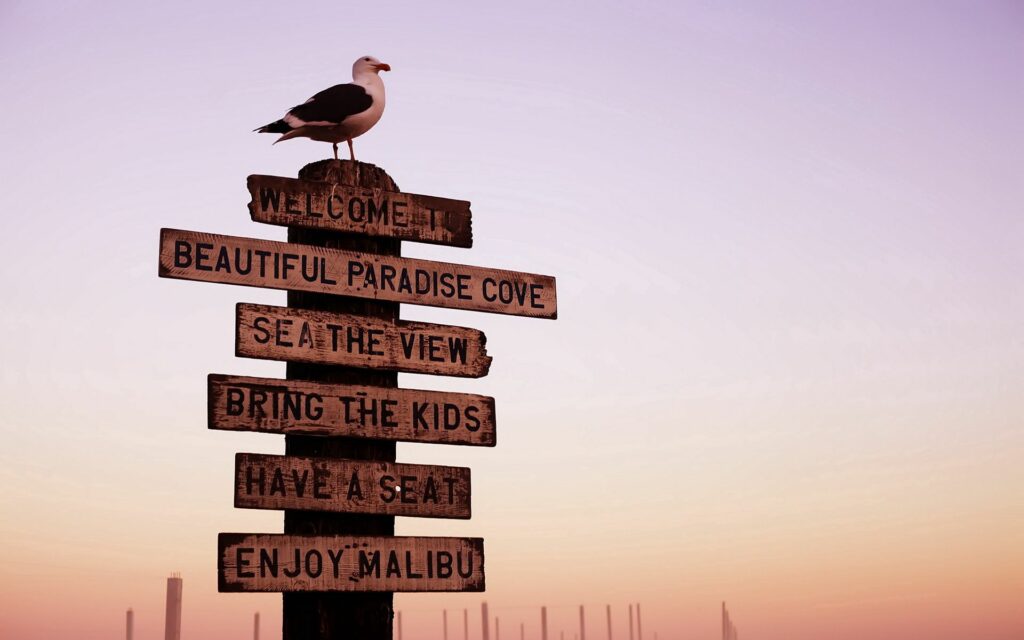 Seagull perched on rustic wooden signpost at sunset with pastel sky coastal Malibu wallpaper background