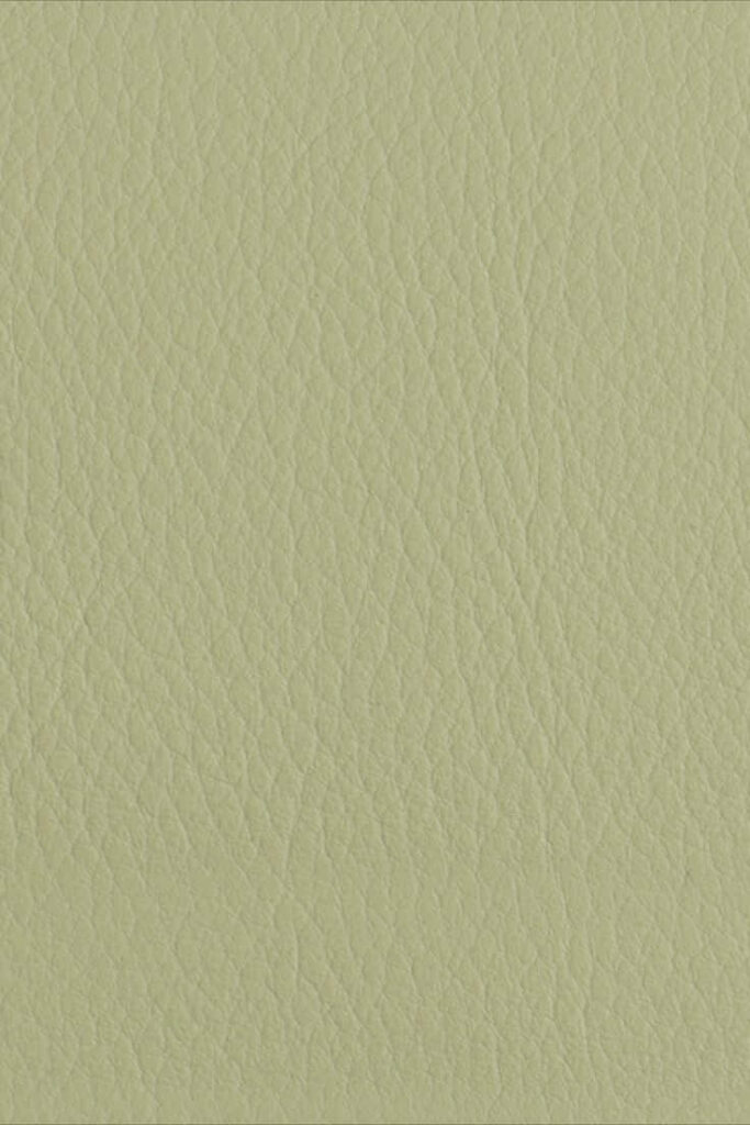 Soft Light Green Leather Texture - Ideal Wallpaper Background Design