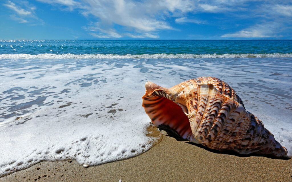 Oceanic Euphoria: Capturing the Majestic Power of Sea and Surf in a Mesmerizing 4K Wallpaper Background