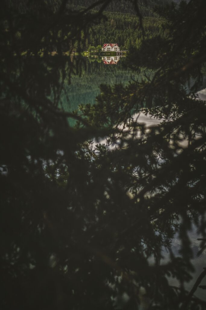Secluded house by calm lake amid dark forest branches with soft light and lush greenery background Wallpaper