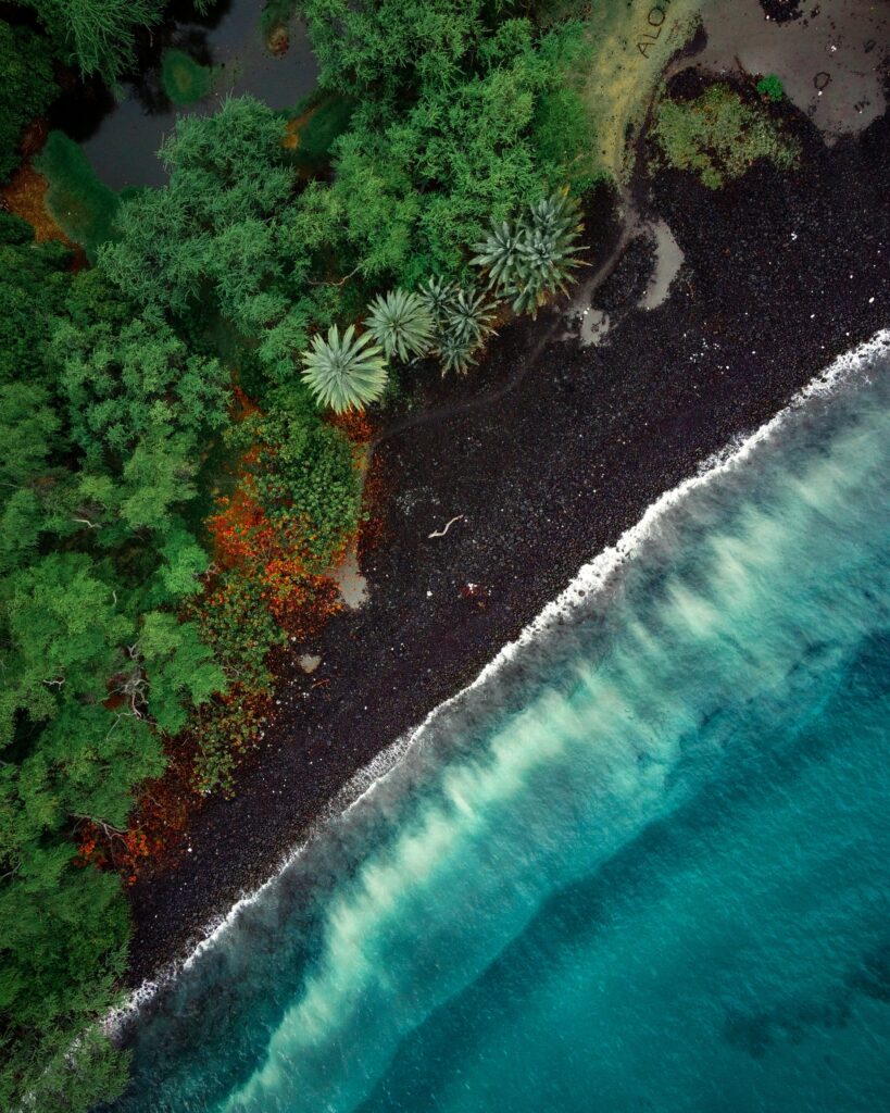 Aerial view of secluded beach with turquoise waves black sand tropical trees and palms wallpaper