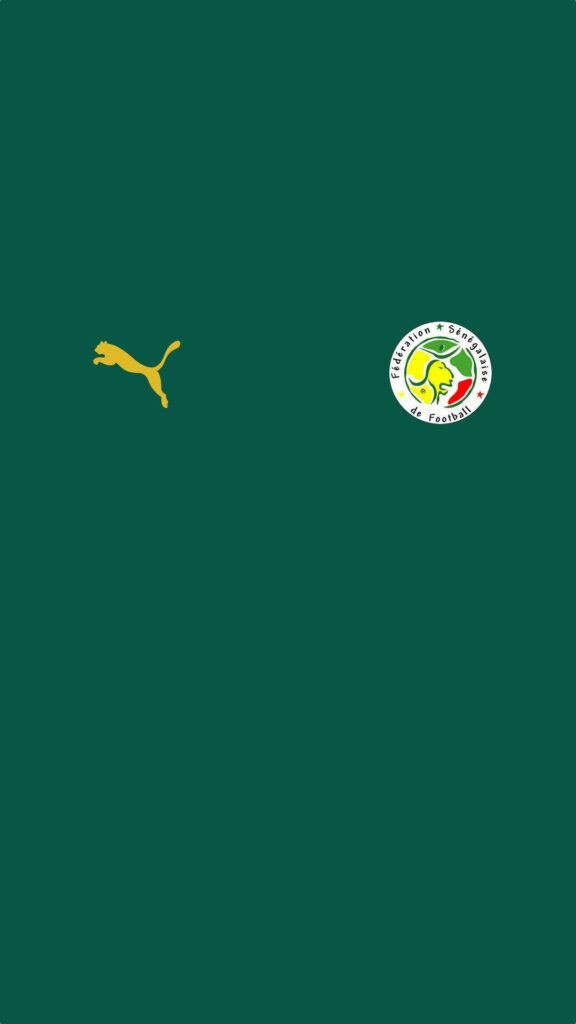 Senegal National Team Puma Jersey - Minimalist Green Wallpaper