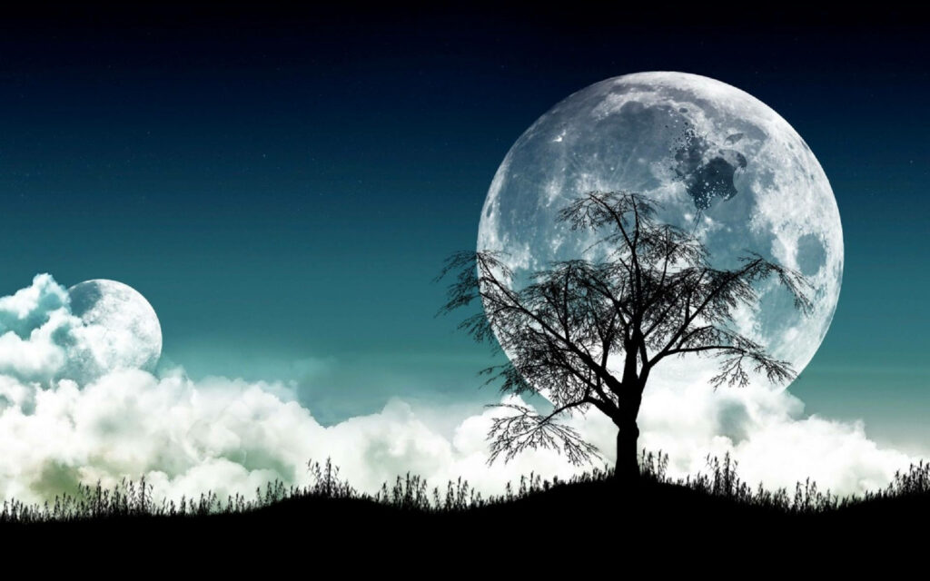 Serene 3D HD Night Scene with Full Moon and Leafless Tree Wallpaper