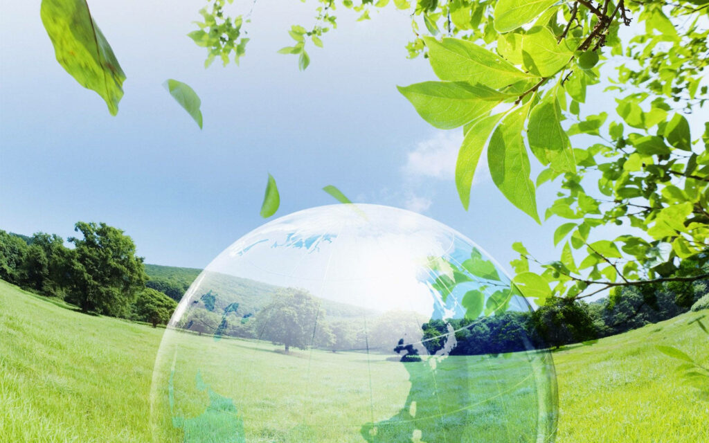 Serene 3D Nature Wallpaper: Lush Fields & Bright Blue Sky