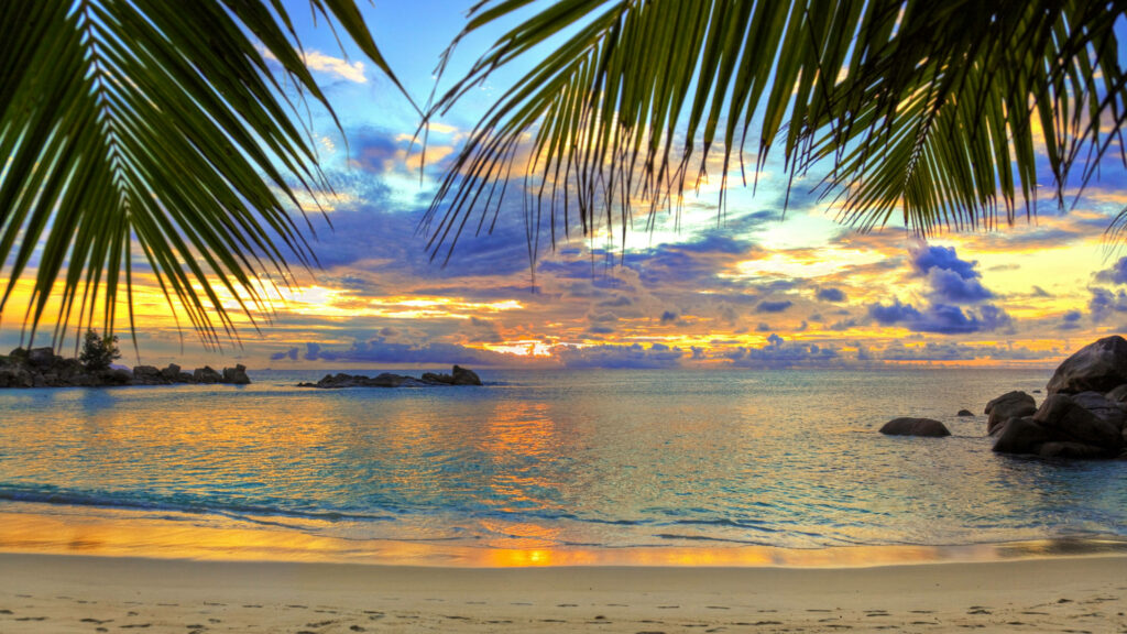Serene Sunset Beach 4K Wallpaper with Palm Fronds and Rocks