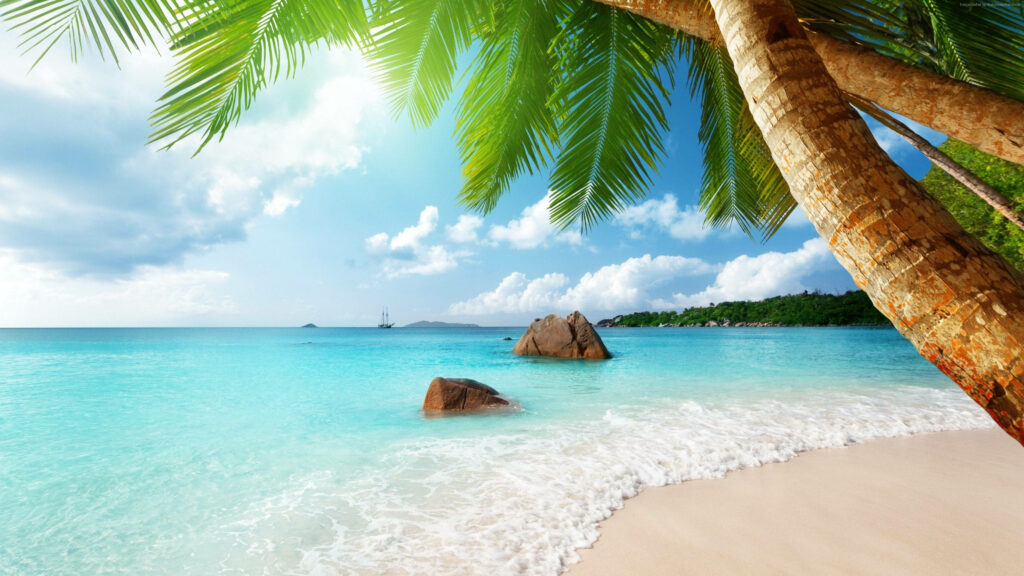 Serene 4K Beach Wallpaper: Turquoise Waters & Tropical Paradise