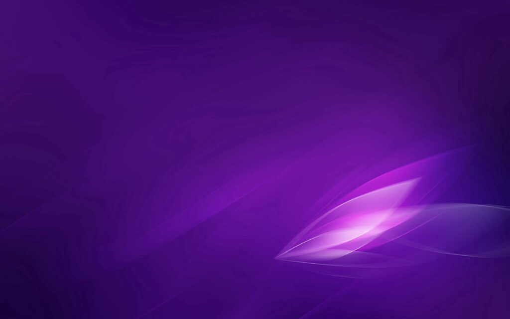 Serene Abstract Wallpaper 2560x1600: Violet Hues & Stylized Leaves