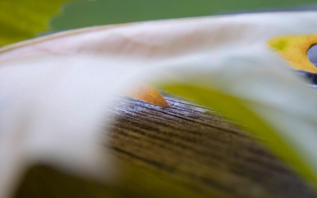 Abstract wallpaper with soft blur greens and yellows textured background for calming organic look