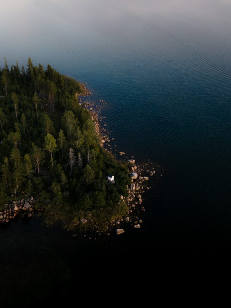 Aerial view of dense green forest meeting calm dark blue water with rocky serene coastline Wallpaper