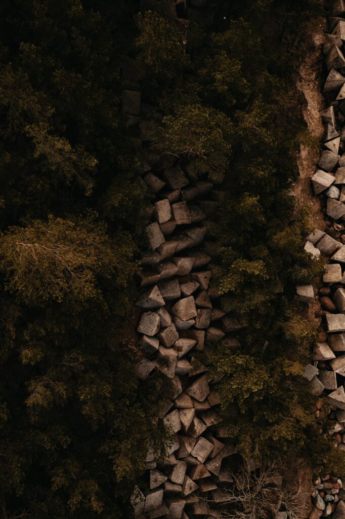 Aerial view of lush green forest with scattered stones on rugged earthy natural terrain background Wallpaper