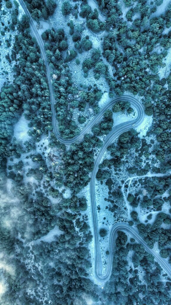Aerial view of winding road through dense blue green forest scenic nature wallpaper background