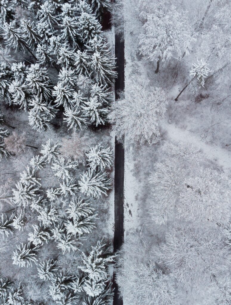 Aerial winter forest view with snow-covered trees divided by narrow road serene wallpaper background