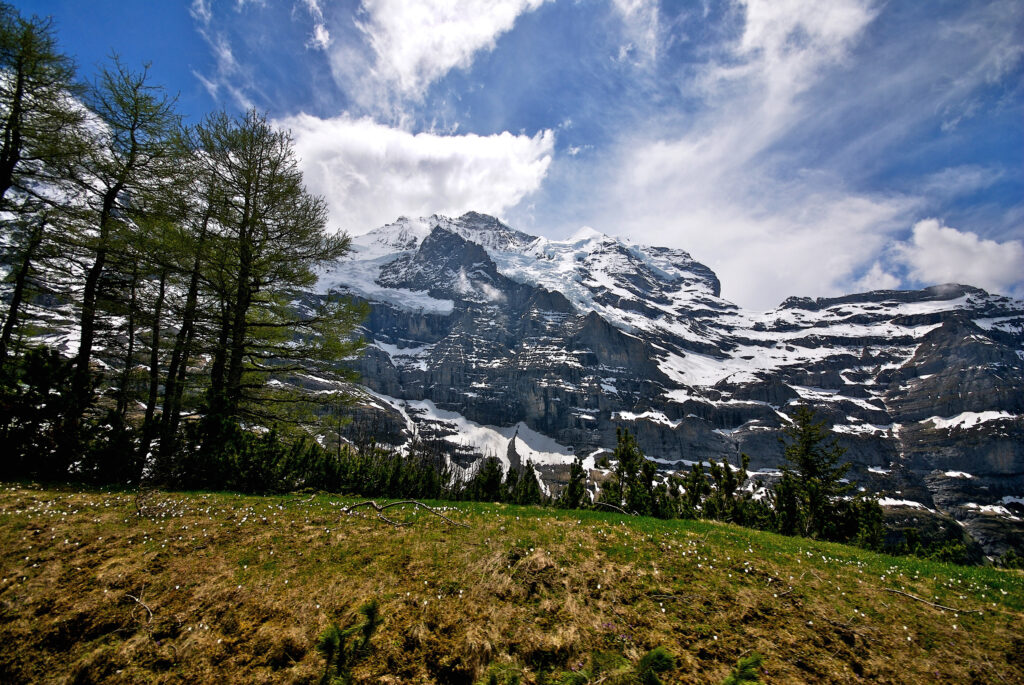 Snow-capped mountains with vibrant green trees and grass under a dramatic sky alpine landscape wallpaper