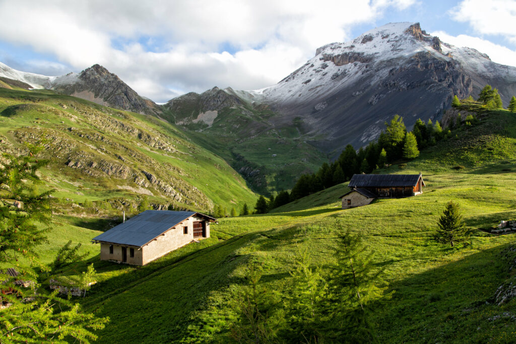 Rustic alpine buildings on green slope with rugged mountains and delicate trees in soft light Wallpaper