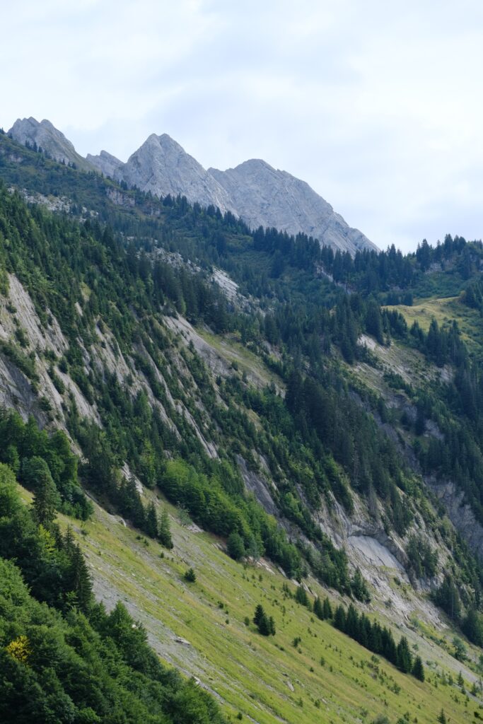 Lush green mountainside with dense trees and rugged rocky peaks under pale blue sky wallpaper