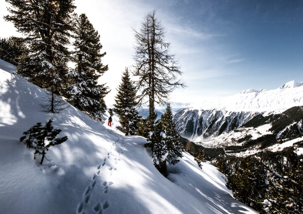 Skier gliding through snowy alpine slopes with fresh tracks trees and clear blue sky background Wallpaper