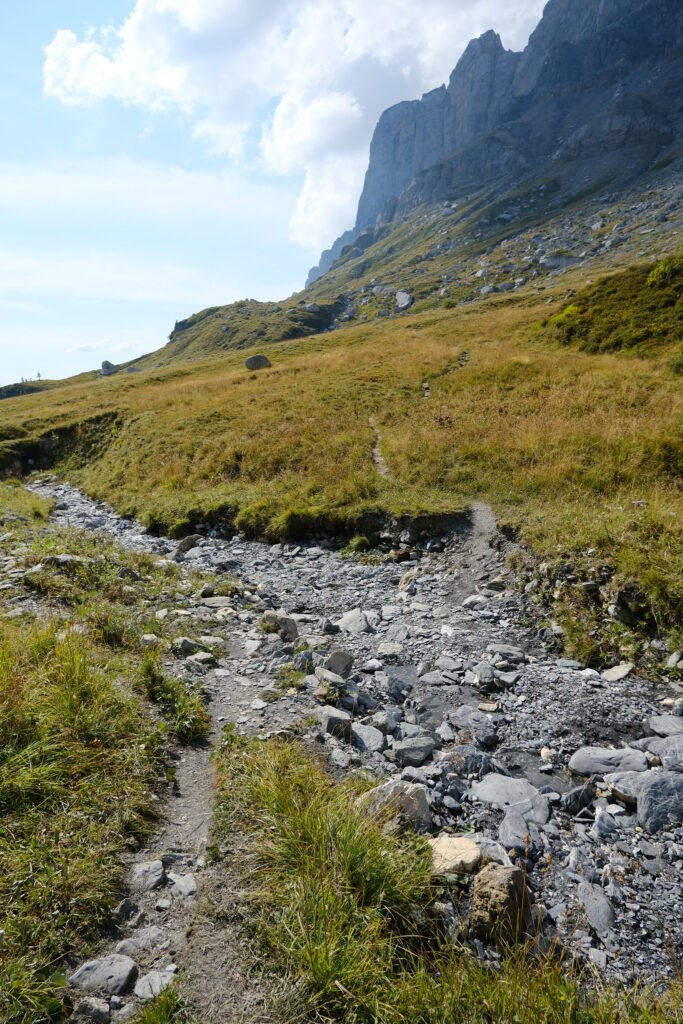 Winding stone path through grassy hills with rugged mountains under a clear sky wallpaper