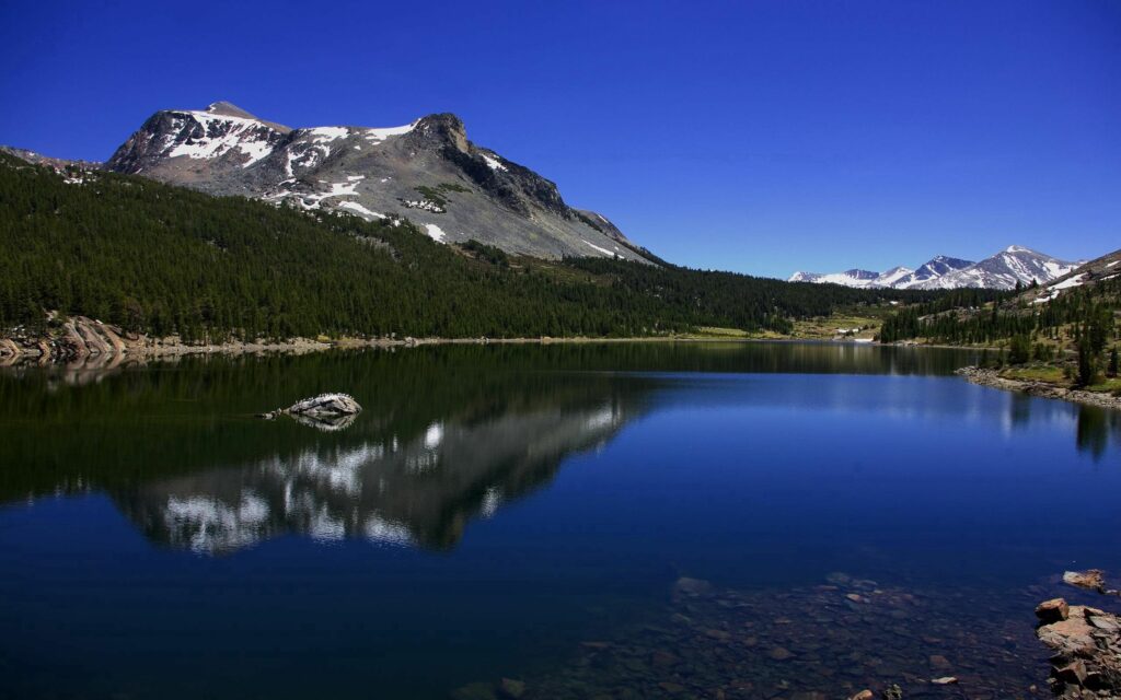 Snow-capped Alps reflected in crystal-clear lake with green forests and vibrant blue sky wallpaper