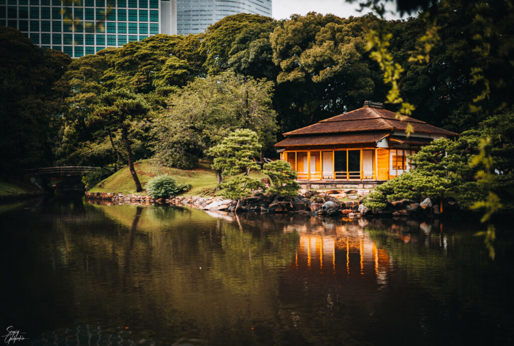 Serene lakeside Asian house with wooden architecture reflected in still water surrounded by trees Wallpaper
