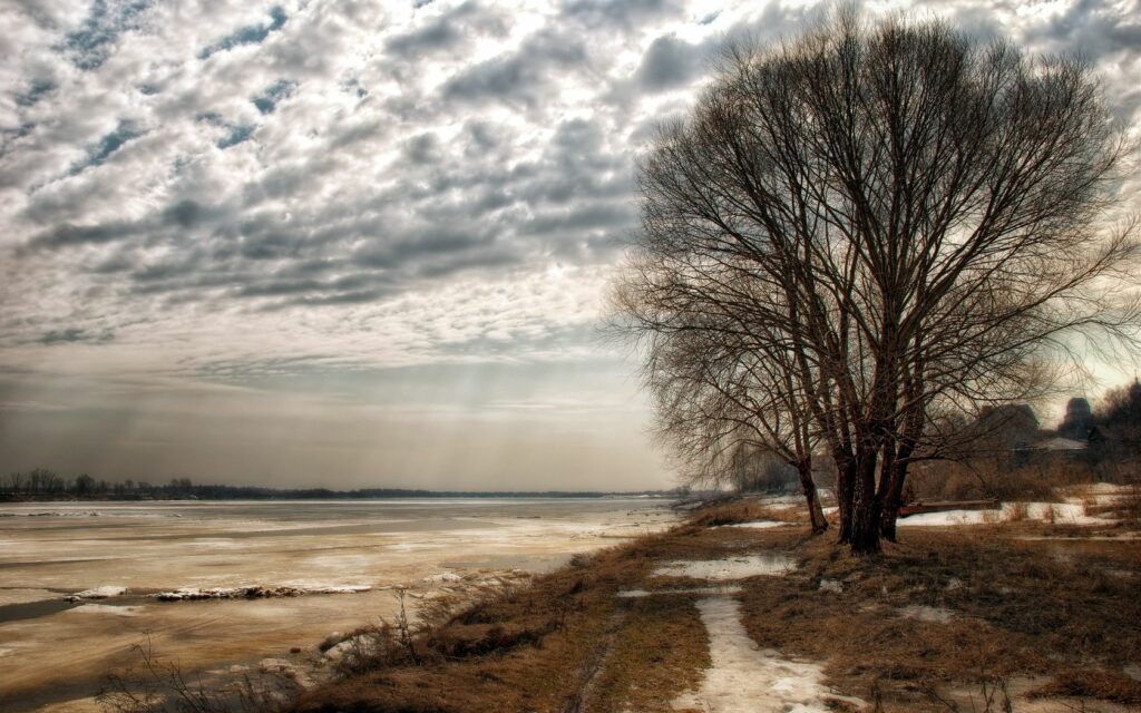 Serene autumn landscape with tall birch trees under cloudy sky and sunlit frozen river Wallpaper