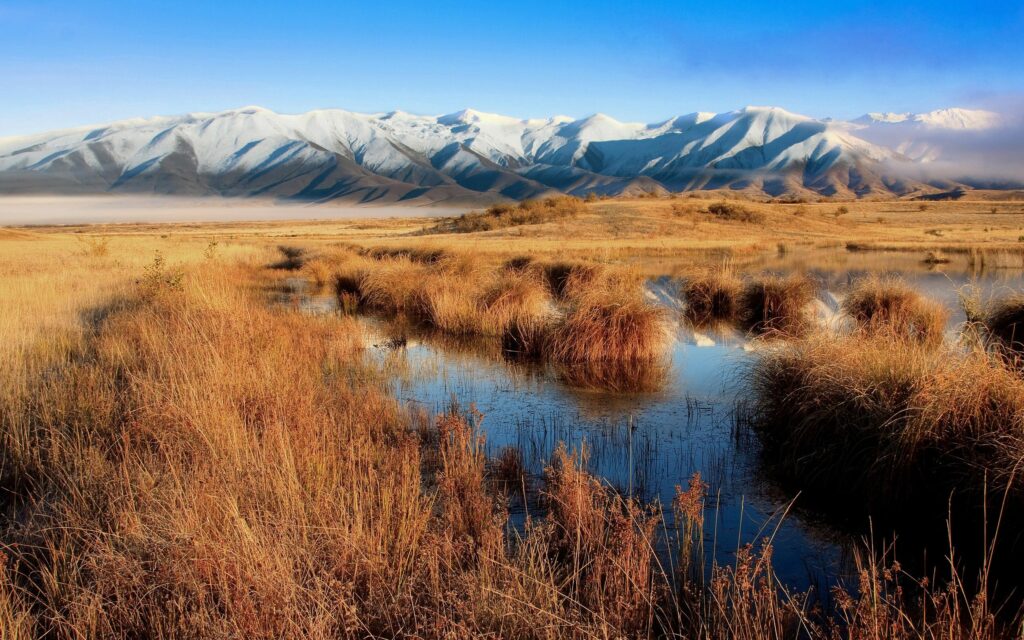 Serene autumn bog with golden grasses reflected in water and snow-capped mountains background Wallpaper
