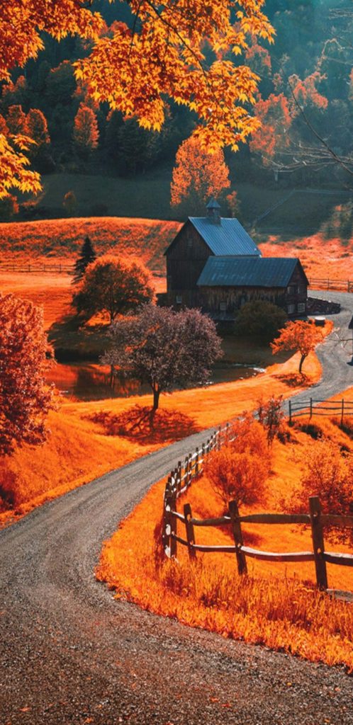 Autumn country road to rustic barn with vibrant fall foliage and peaceful pond scenery Wallpaper