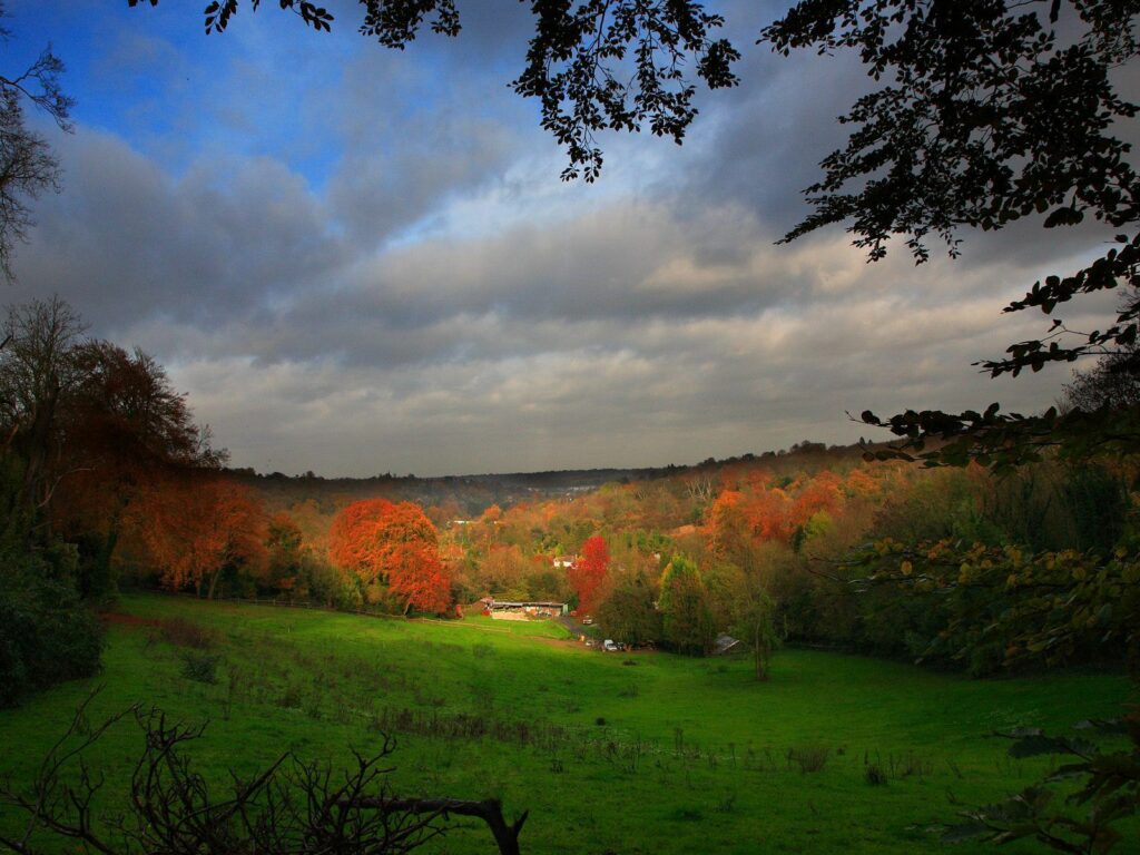 Serene autumn countryside with vibrant trees green field dramatic clouds blue sky peaceful village Wallpaper