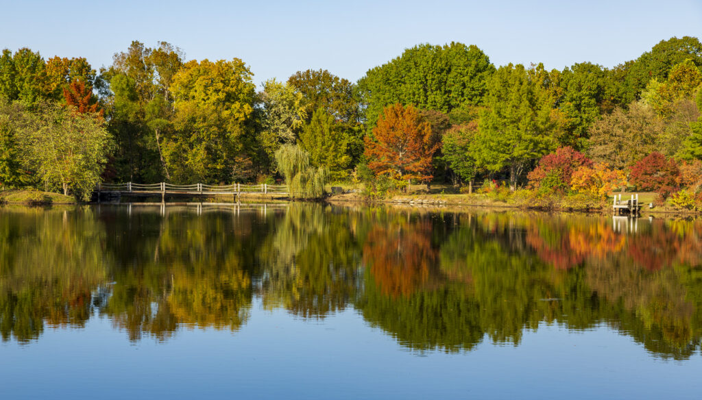 Serene autumn forest with vibrant trees reflecting on calm water and a rustic wooden bridge Wallpaper