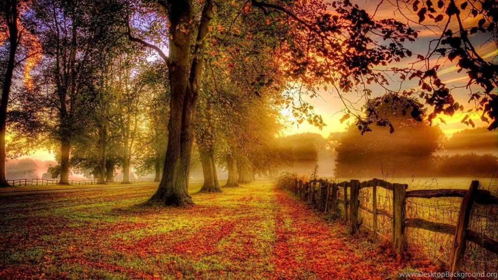 Serene autumn pathway with golden trees wooden fence and vibrant fallen leaves misty forest background Wallpaper