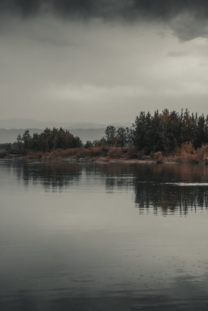 Serene autumn landscape with dense trees reflecting in calm water under overcast sky wallpaper