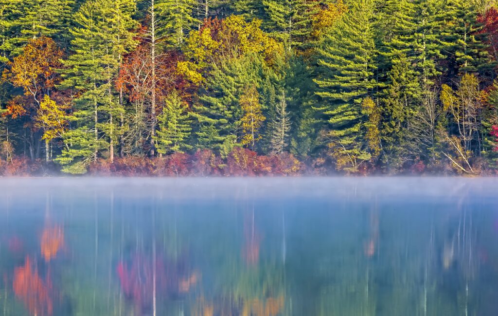 Serene autumn forest with vibrant foliage reflected in calm river and gentle morning fog wallpaper
