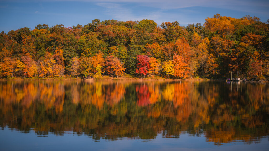 Serene autumn forest with vibrant fall foliage reflected on calm river under clear sky wallpaper
