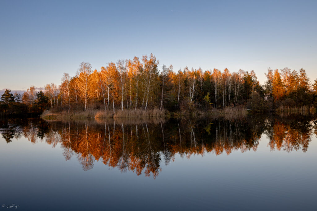 Serene autumn forest with golden trees reflected on a calm lake capturing vibrant fall colors Wallpaper