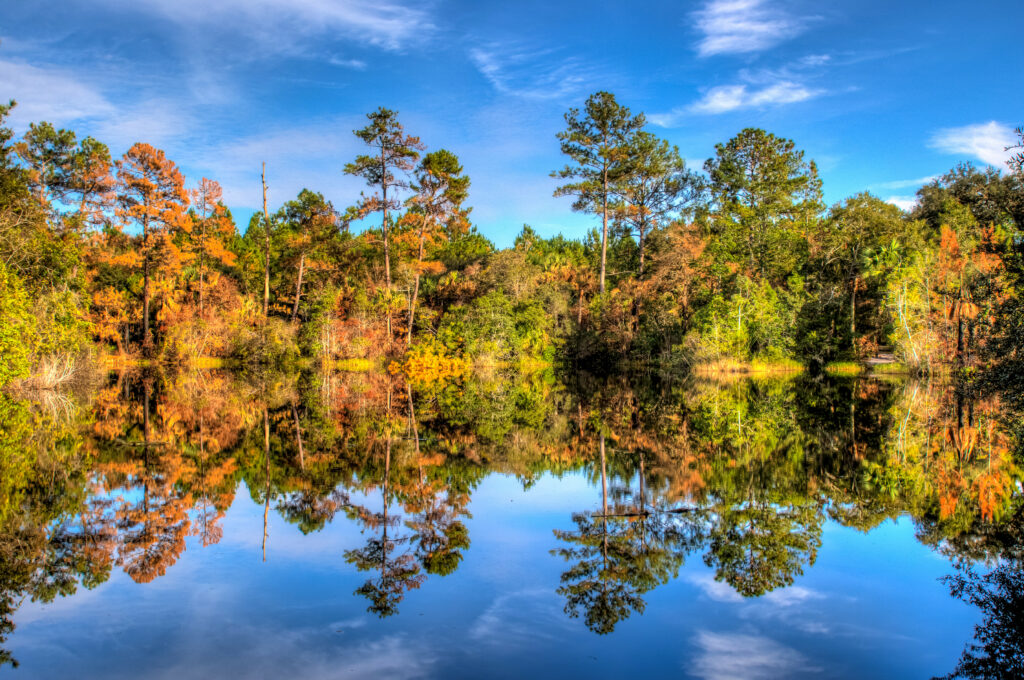 Autumn forest with colorful trees reflected on calm lake under clear blue sky serene landscape Wallpaper